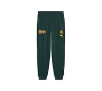 PUMA Pantalon de survêtement ftblCULTURE AC Milan Homme, Accessoires, Vert, M M