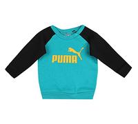 PUMA Pantalon de survêtement Marque Modèle Minicats ESS Raglan Jogger FL
