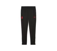 PUMA Pantalon d'entraînement AC Milan Homme, Accessoires, Noir, L L