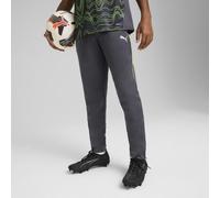 PUMA Pantalon d'entraînement individualLIGA Enfant et Adolescent, Vêtements, Gris, 11-12Y 11-12Y