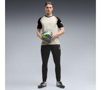 PUMA Pantalon d'entraînement slim individualFINAL Homme, Vêtements, Beige, M M