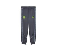 PUMA Pantalon KING Anthem Manchester City Homme, Accessoires, Gris, M M
