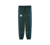 PUMA Pantalon KING Anthem Manchester City Homme, Accessoires, Vert, M M