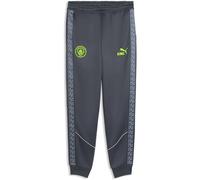 Puma Manchester City Fc King Anthem Pants Gris S Homme