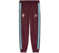 Puma Portugal King Anthem Pants Violet XL Homme