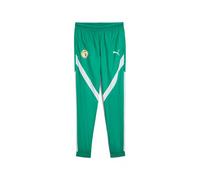 Puma Pantalon Tissé D¿Avant-Match Sénégal 2025 Homme, Sport, Sport Vert/Blanc, L