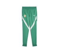 PUMA Pantalon tissé d’avant-match Sénégal 2025 Homme, Sport, Sport Vert/Blanc, L L