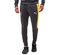PUMA Pantalon Training Pant Arsenal Football Gris Homme