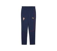 PUMA Portugal CasuaPants Pantalon de survêtement pour homme