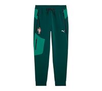 Puma Select Portugal Tech Sweat Pants Vert M Homme