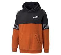 PUMA Winterized Power Hoodie Sweat, Warm Chestnut, L Homme