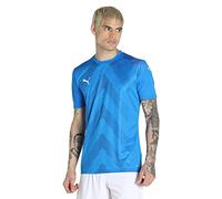 PUMA Pull Marque Modèle TeamGLORY Jersey