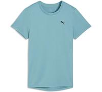 Puma Puma Blue Train All Day Essentials Crew Neck T-Shirt