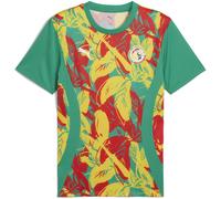 Vêtements Puma FSF Prematch SS Jersey pour Homme XXL Multicolore