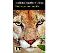 Puma qui sommeille: Une enquête impériale de l'Inca Tupac Hualpa