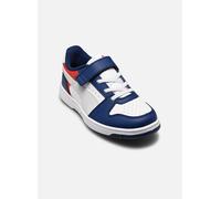 Basket Garçon Modèle Rebound Multicolore Blue 31