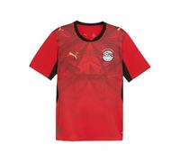 Maillot Domicile Égypte 2025/26 M
