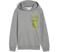 Puma Rival Rage Hoodie Gris 14-16 Years Enfants