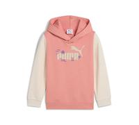 PUMA Sandy Adventures Hoodie TR PS, Sweats à Capuche Mixte Enfant, Pink Fruit,