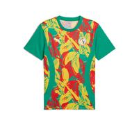 PUMA Senegal Pre Match Shirt - Green L