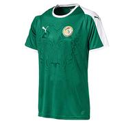 Puma Senegal Away Shirt SS Replica Maillot Homme Pepper Green-Puma White FR : M (Taille Fabricant : M)