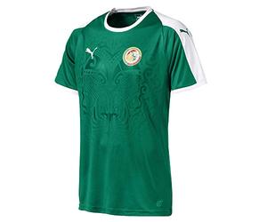 Puma Senegal Away Shirt SS Replica Maillot Homme Pepper Green-Puma White FR : S (Taille Fabricant : S)