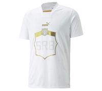 PUMA Serbia Maillot extérieur pour homme 22/23, blanc, Taille XL