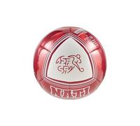 PUMA SFV CULTURE Ballon Mini