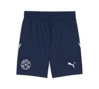 PUMA Short 2024 Paraguay Homme, Sport, Persian Bleu/Dusty Aqua, M M