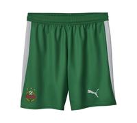 PUMA Short 25/26 SK Rapid Vienne Homme, Sport, Blanc/Sport Vert, S S