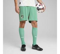 PUMA Short Côte d’Ivoire 2025 Homme Men, Vêtements, Jade Frost/Blanc, S S