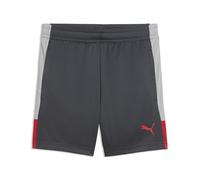 PUMA Short d’entraînement de Football individualLIGA Enfant et Adolescent 116, Gray Echo Dusky Red