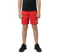 Puma Short De Bain 701224511