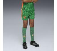 PUMA Short de gardien de but 25/26 Manchester City Enfant et Adolescent, Vêtements, Archive Vert/Heat Fire, 11-12Y 11-12Y
