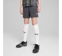 PUMA Short d'entraînement individualFINAL Enfant et Adolescent, Vêtements, Galactic Gris/Jaune Alert, 9-10Y 9-10Y