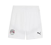 PUMA Short Égypte 2025 Homme, Sport, Blanc/Cool Mid Gris, S S