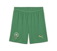 PUMA Short Maroc Homme, Accessoires, Vert, XXL XXL
