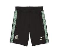 PUMA Short molletonné KING AC Milan Homme, Sport, Noir/Alpine Snow, L L