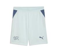 PUMA Short Suisse 2026 Homme, Accessoires, Bleu, M M