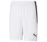 Puma Teamliga Shorts - Combinaison modèle Court - Sport - Homme