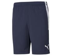 Puma Shorts Pour Hommes - Teamliga Shorts D'Entraînement, Logo, Polyester, Court