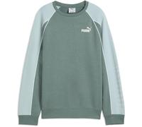 PUMA Sport Crew TR G, Sudaderas Con tripulación Fille, Green Moon,