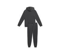 Puma Survêtement À Capuche En Polyester Homme, Vêtements, Dusky Gris, S