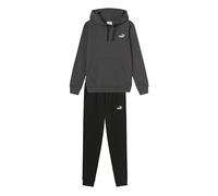PUMA Survêtement Homme à Capuche Essentials Tr Gris Taille XL Code 693270-44