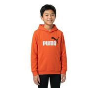 Puma Sweat à Capuche Ess+ 2 Col Big Logo