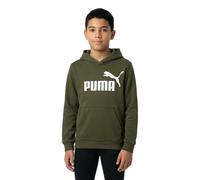 Puma Sweat à Capuche Ess Big Logo