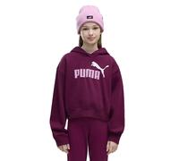 Puma Sweat à Capuche Essential 2 Color Nº1 Logo Short Length