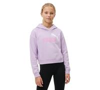 Puma Sweat à Capuche Essential 2 Color Nº1 Logo Short Length