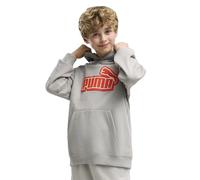 PUMA Hoodie décontracté Essentials Logo Lab Enfant et Adolescent, Accessoires, Gris, 7-8Y 7-8Y