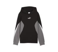 PUMA Sweat à capuche Essentials Block Enfant et Adolescent, Accessoires, Noir, 5-6Y 5-6Y